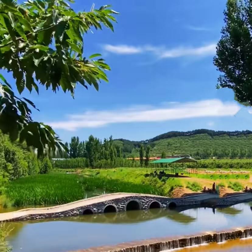 1769424076151974.jpg a4dacadc72472ba62323cfbfcdc08743.jpg