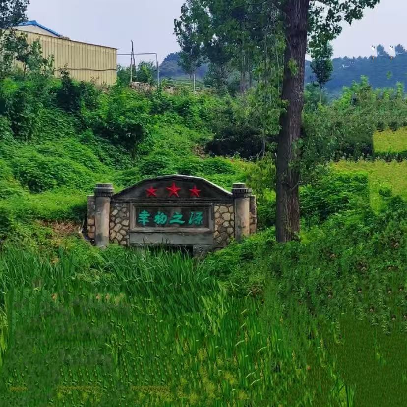 1769424252149004.jpg 3dc08b51005e7a3abab6174c6e140f2b.jpg