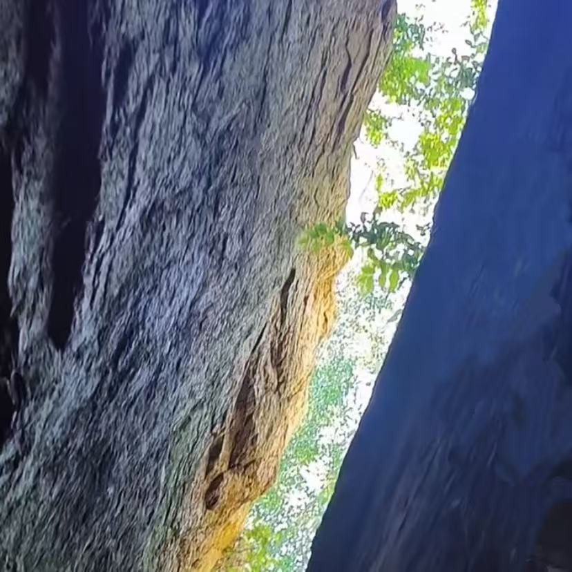 1769424680205961.jpg a92ff6c41a8d1eba41494b926de4db20.jpg